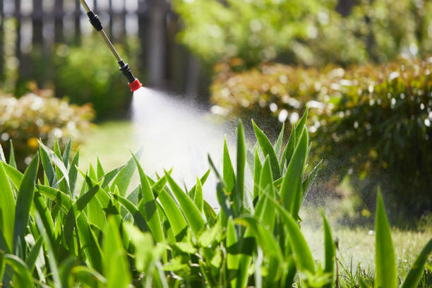 24/7 Emergency Fumigation Services experts in Warren, MN